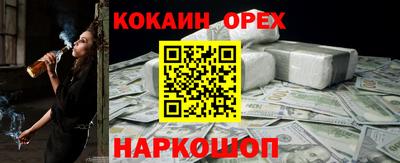 гидра Краснознаменск
