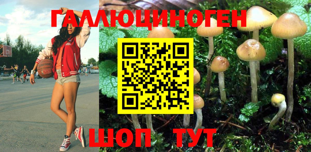 Галлюциногенные грибы мухоморы  Галлюциногенные грибы Magic Shrooms  Каменск-Уральский  Вход с VPN 