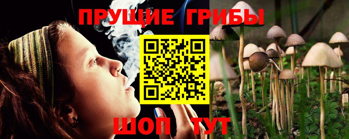 Меф Каменск-Уральский